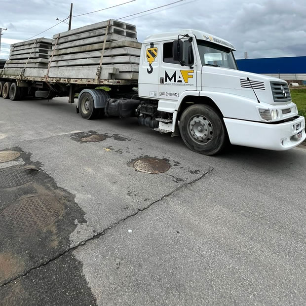 Cavalo mercedes LS1634